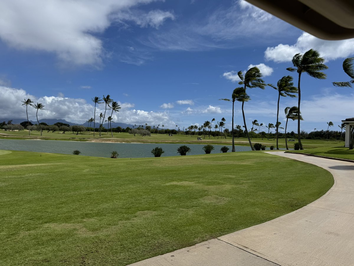GolfGod78 tweet media