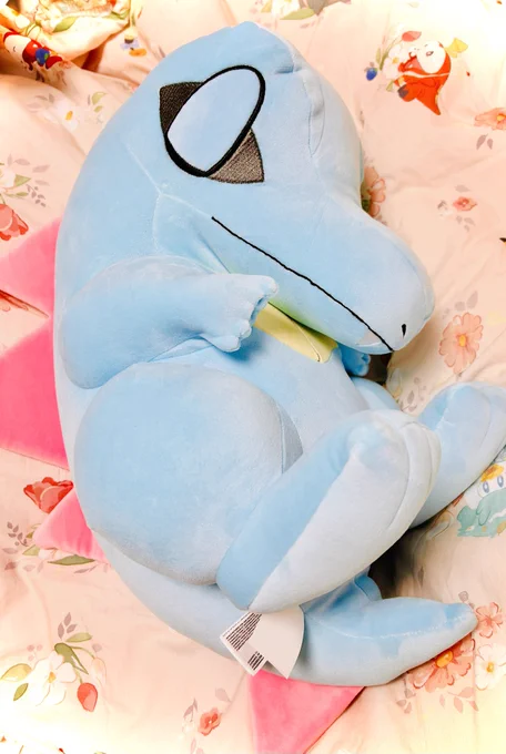 わ!わにゃーーー///スリープワニちゃん来てくれましたーーーー///// 