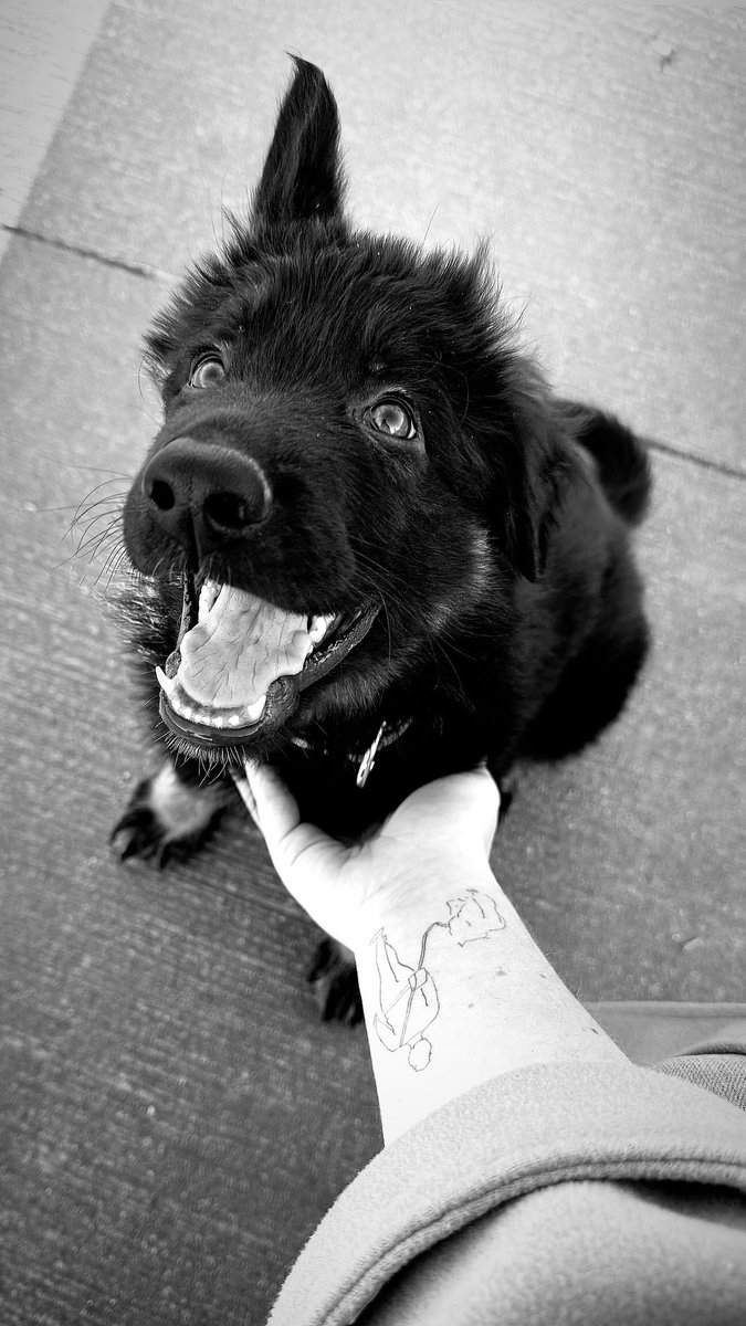 Lenneke Manschot tweet media