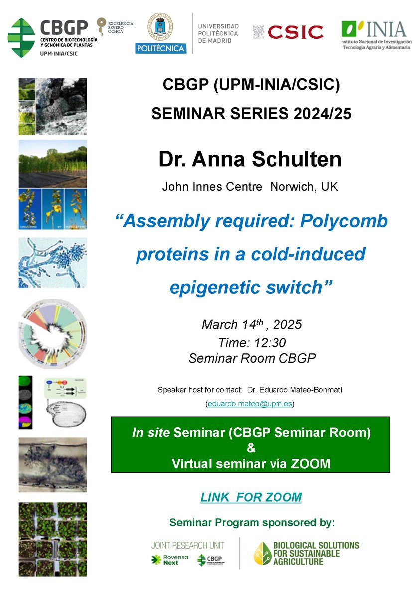#SeminarCBGP | 14/03/25 - 12:30h

🧑🏽‍🔬 Dr. Anna Schulten
🌍 John Innes Centre Norwich, UK
📝 "Assembly required: Polycombproteins in a cold-induced epigenetic switch”
💻 Zoom ID: 829 7017 0964 | Código acceso: 247318

#somosUPM