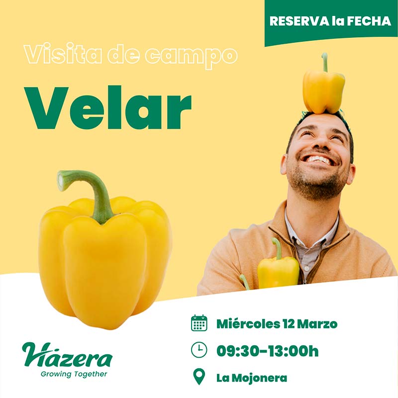elAgroAutentico's tweet image. 📢Día 12 de marzo. Jornada de #pimiento amarillo de Hazera💛🌶️
agroautentico.com/2025/03/jornad…

@Hazera_esp