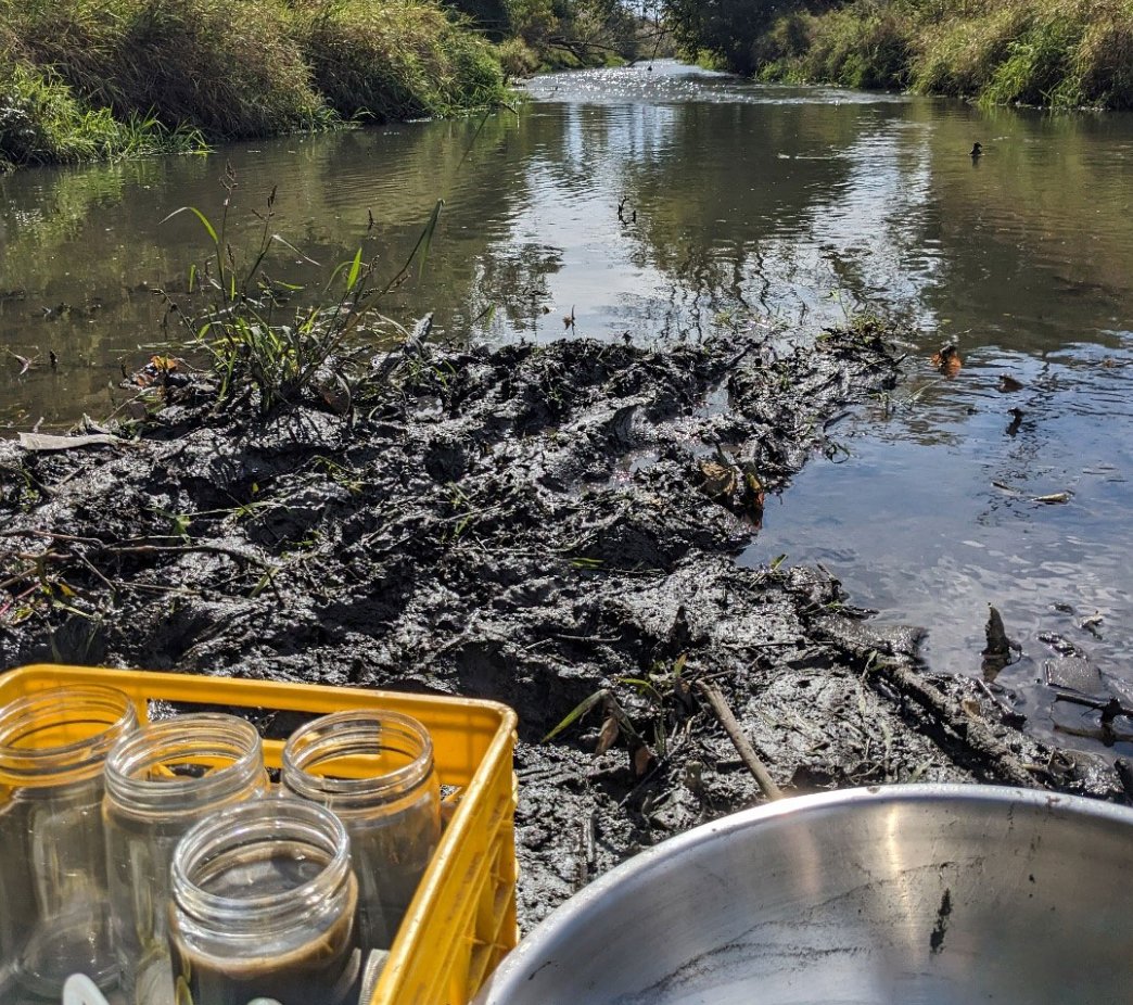 Irinainfos's tweet photo. Sediment sampling is key to understanding our environment! 🌍 It helps assess pollution, track ecosystem health, reveal historical changes, and guide sustainability efforts.
Sediments hold the story of our planet—are we listening? #EnvironmentalScience #Sustainability #SedimentS https://t.co/n38ZzfgfIY
