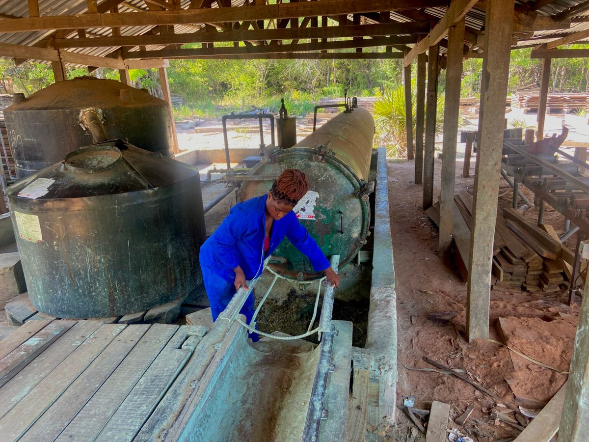 👩‍🌾 In rural #Mozambique, #women are rewriting their futures thanks to the Triple Resilience (3R) program.

“This job has given me more than just an income - it has given me hope.” Maria, 3R beneficiary. 

Read more 👉: buff.ly/eZmCb5L 

#IWD2025 @SwedeninMZ <a href="/IFDCGlobal/">IFDC</a>