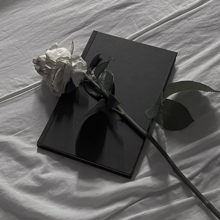 Конечно же, нейросеть может написать стихотворение. И даже поэму. Но сможет ли ваша нейросеть поехать в ссылку в Сибирь?