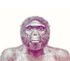 CLD | Nitrotro 🇨🇭🇻🇪 tweet media