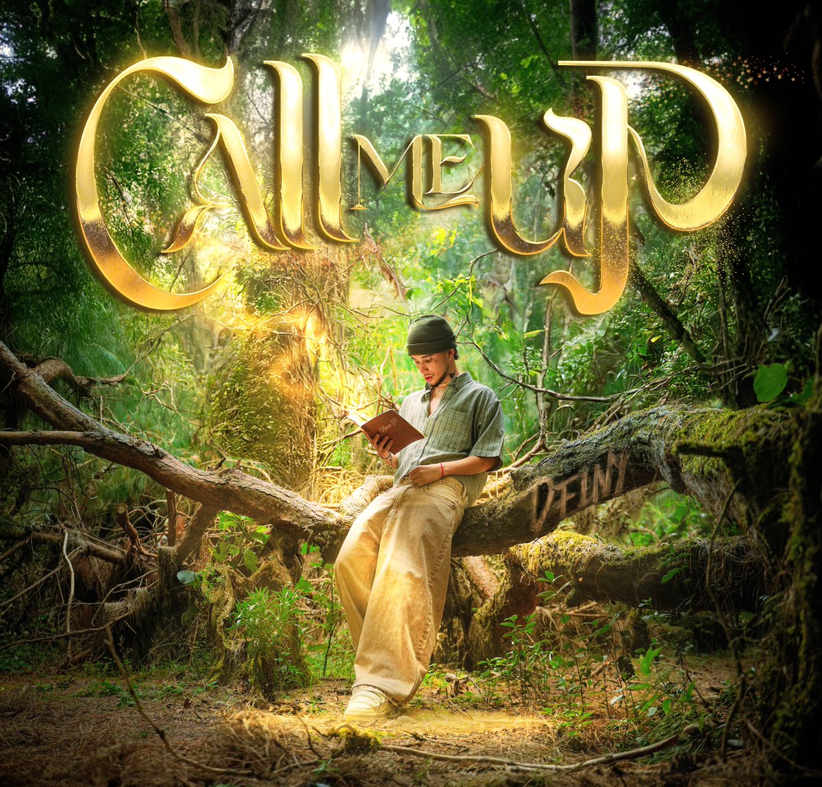 METSE_oficial's tweet image. ¡DFINY lanza su nuevo single: #CallMeUp ! musicaentodosuesplendor.es/2025/03/call-m…