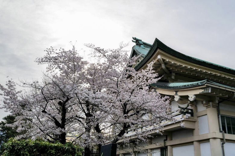 insightkyoto's tweet photo. 過去Pic【岡崎公園周辺と満開の桜】2023/3/31撮影

桜のピーク期で、満開に近い状態でした。

🔗 https://t.co/ExxfzMpzl6

⛩京都フォトブログ<8か国語>
おすすめ観光スポット300ヶ所・630記事以上

#insightkyoto  #beautiful_kyoto 
#京都観光  #日本の四季  #美しい京都 
#岡崎公園  #岡崎公園周辺  #満開の桜