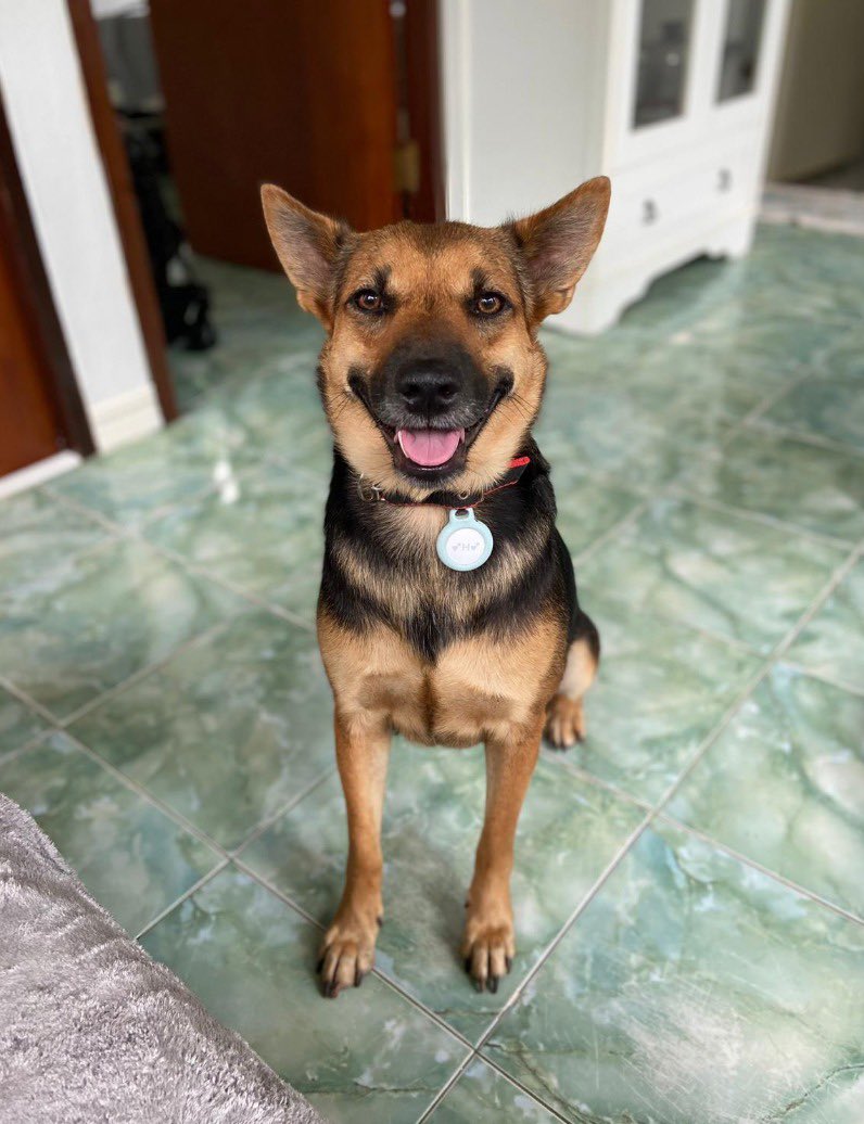 Niall Harbison tweet media