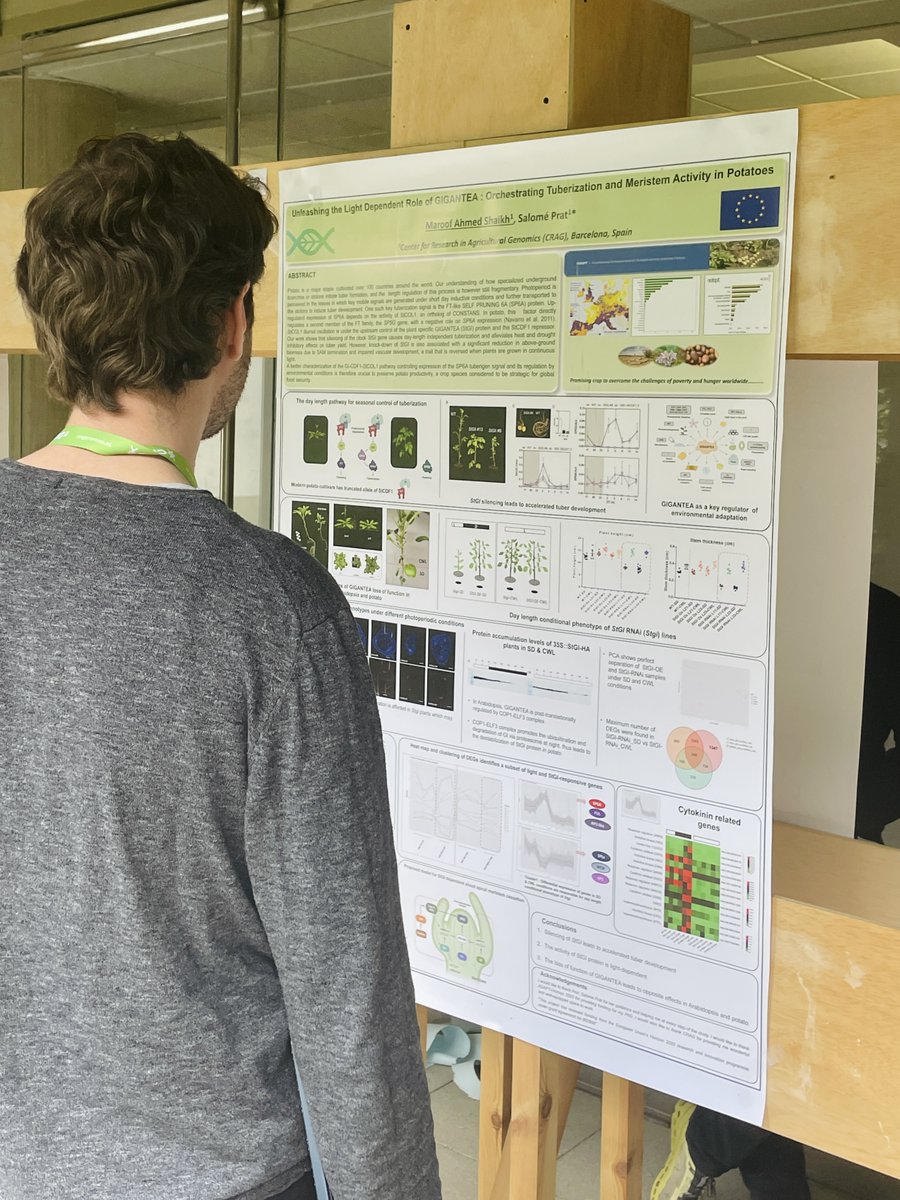 CRAG (@cragenomica) on Twitter photo Yesterday was an intense first day at ACYR!
Inspiring talks by María Gracia Luigi Sierra from <a href="/uni_copenhagen/">University of Copenhagen</a> and Stephan Wenkel from <a href="/UmeaPlantSci/">Umeå Plant Science Centre (UPSC)</a>, short communications on genomics, and a scientific contest with <a href="/agrisera/">Agrisera</a>!
Ready for a second round today 🤝✨ Yesterday was an intense first day at ACYR!
Inspiring talks by María Gracia Luigi Sierra from <a href="/uni_copenhagen/">University of Copenhagen</a> and Stephan Wenkel from <a href="/UmeaPlantSci/">Umeå Plant Science Centre (UPSC)</a>, short communications on genomics, and a scientific contest with <a href="/agrisera/">Agrisera</a>!
Ready for a second round today 🤝✨