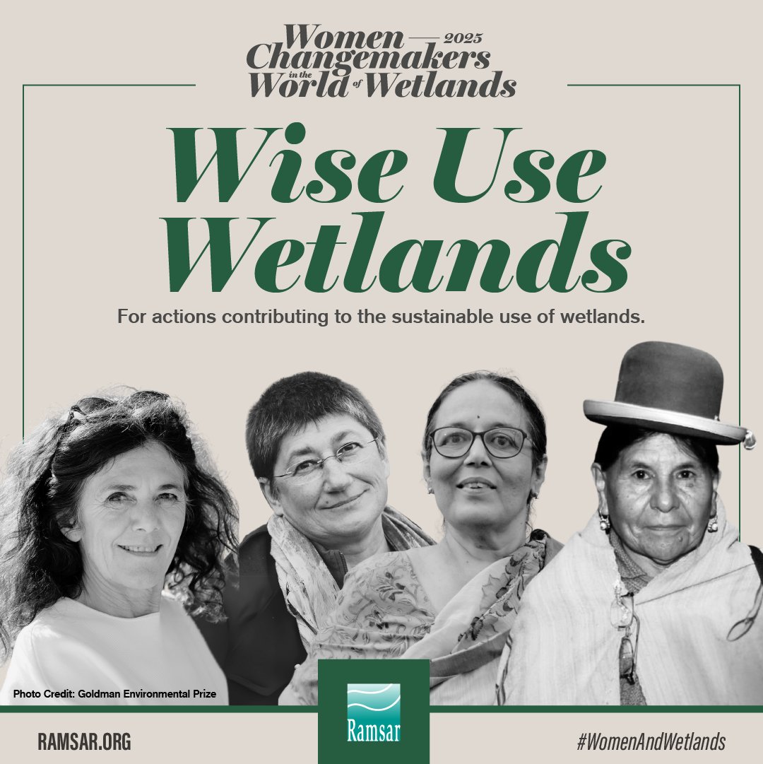 🌱Wise Use of Wetlands: Balancing Conservation and Sustainability!

Sustainable wetland management is key to protecting both nature and communities. Teresa Vincente, Tatiana Minayeva, Jayshree Vencatesan, and Rosa Jalja Gil are leading efforts to ensure wetlands are used