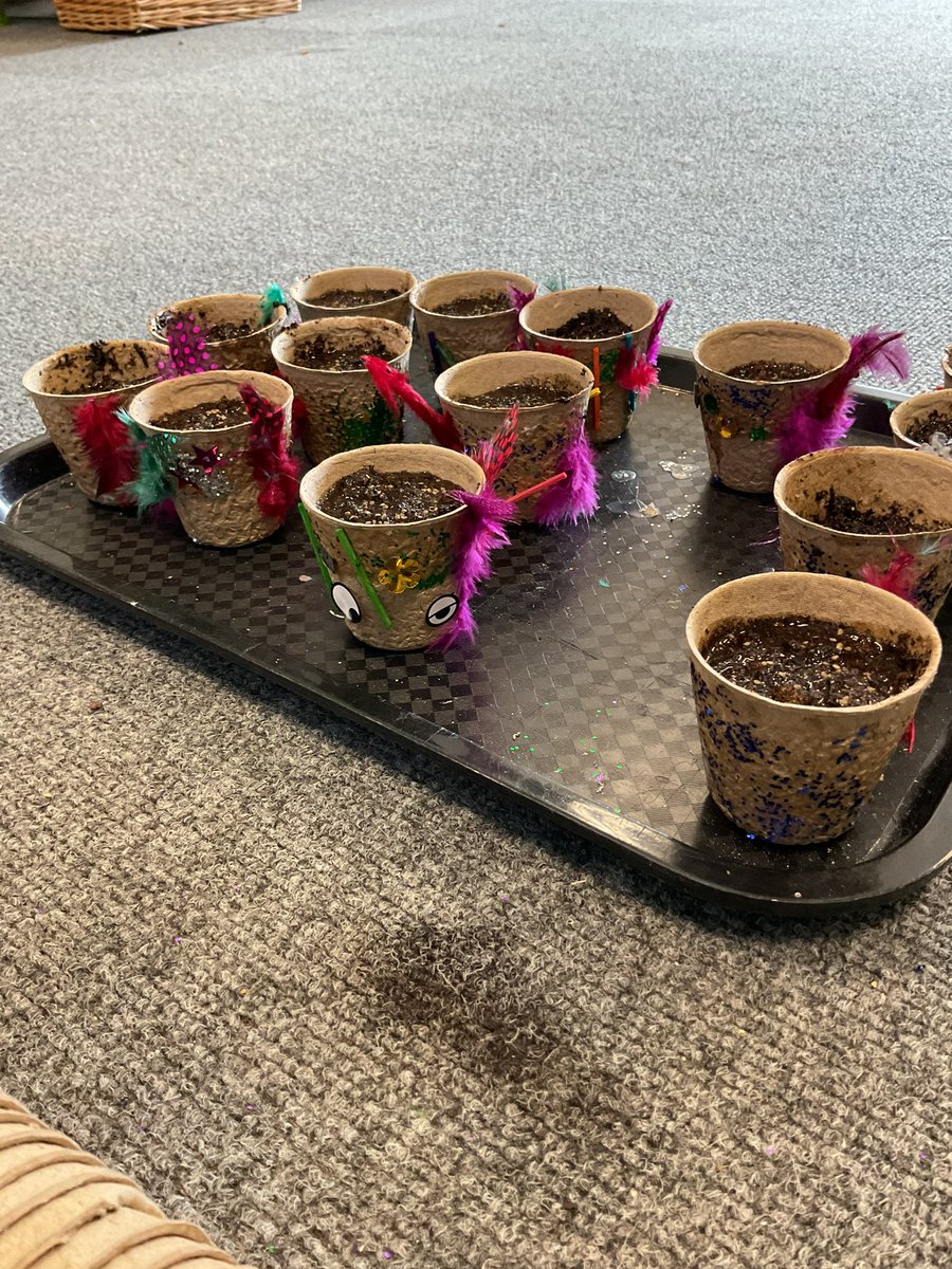 Ready Steady Grow! 🌱 🪴 
<a href="/LozellsPrimary/">LozellsPrimarySchool</a> <a href="/MrsAhmedLN/">MrsAhmed</a>