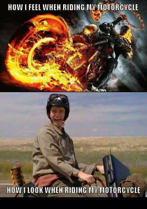 Good Morning Biker Friends! 🐦🇨🇦 🤣🤣