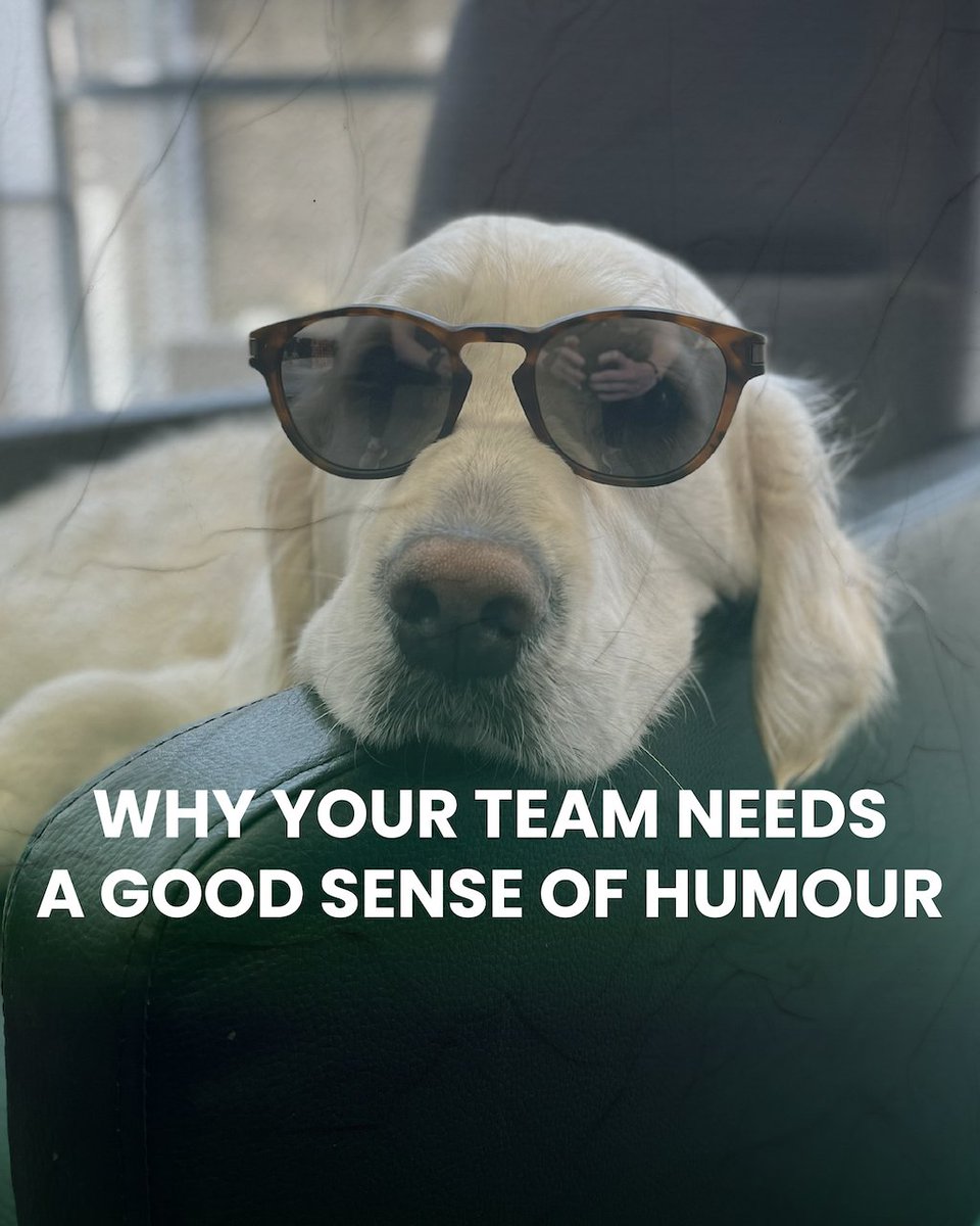 A good sense of humour in a team isn’t just about cracking jokes; it’s a tool for defusing tension, building trust, and keeping everyone sane when deadlines are looming. If you're spending 40+ hours a week together, you might as well enjoy it.
