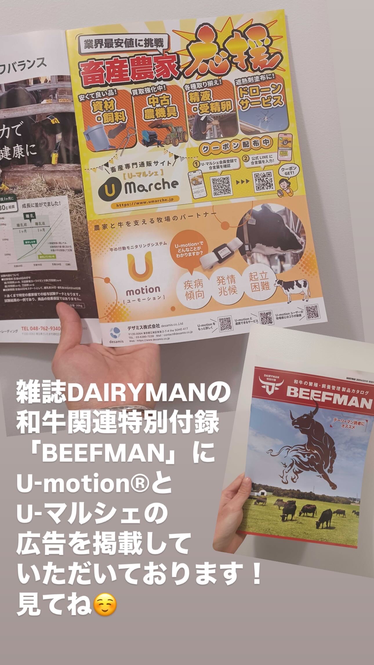 公式】デーリィマン社 (@dairyman_1951) / X 公式】デーリィマン社 (@dairyman_1951) / X