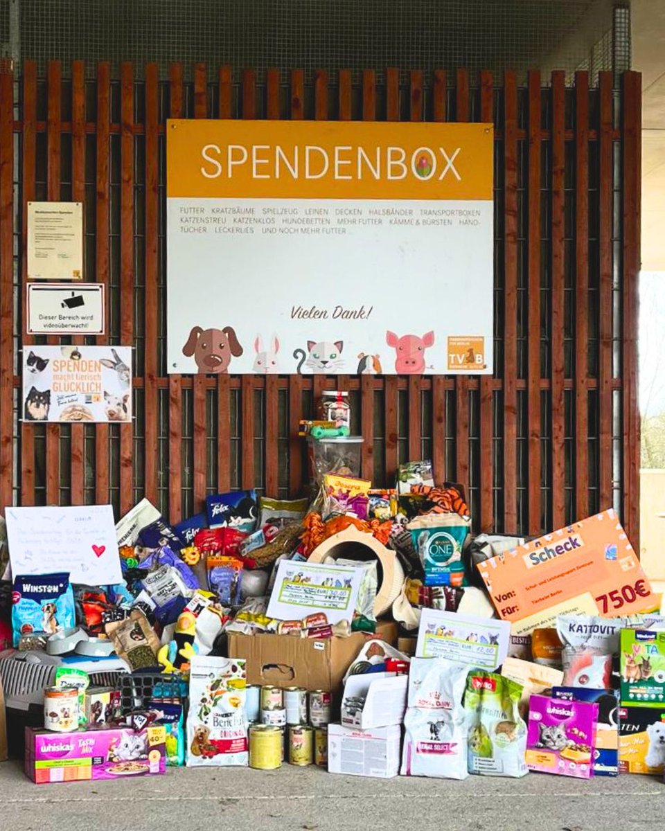 Ein großes DANKE an das Schul- und Leistungssportzentrum #Berlin! Die engagierten Klasse 10b3 hat zu ihrem ValenTIERstag nicht nur viele Sachspenden, sondern auch über 1000 Euro für das #Tierheim gesammelt! 😍
Engagement, das vielleicht auch andere inspiriert ... 🐶🐱🧡
