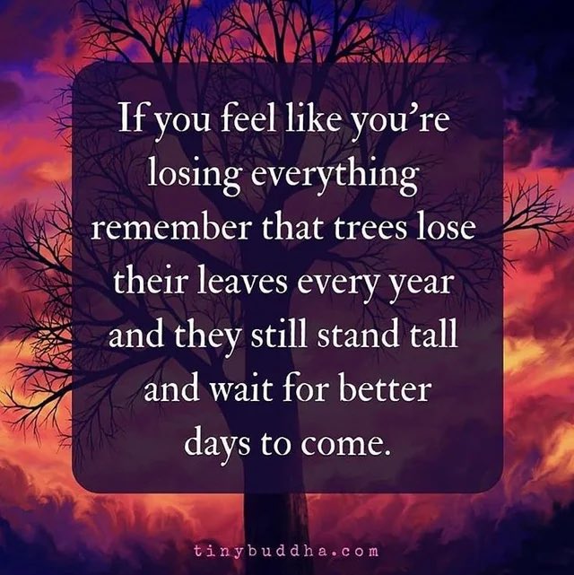 Domomodd's tweet image. God is coming