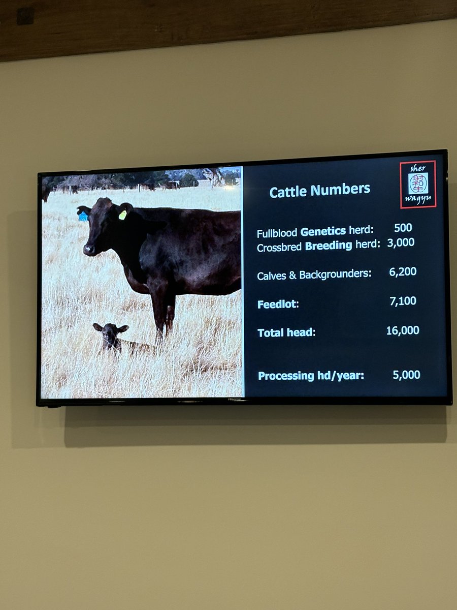Laura Awdry (@lauraawdry) on Twitter photo #NuffieldFarming travels in 🇦🇺slight change of plans due to the cyclone, visited <a href="/SherWagyu/">Vicki Sher</a> today, breeders of 1st purebred wagyu in Australia 1992. Processing 140 animals weekly & exporting to 14 different countries, great example of consistency and marketing to build trust. #NuffieldFarming travels in 🇦🇺slight change of plans due to the cyclone, visited <a href="/SherWagyu/">Vicki Sher</a> today, breeders of 1st purebred wagyu in Australia 1992. Processing 140 animals weekly & exporting to 14 different countries, great example of consistency and marketing to build trust.