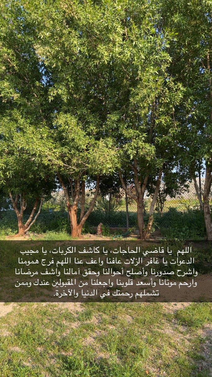 NORA_ALBUSAYYIS (@lady0nono) on Twitter photo 