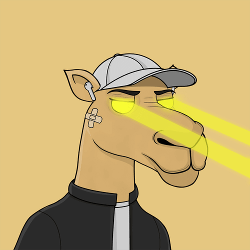 Crypto Dave tweet media