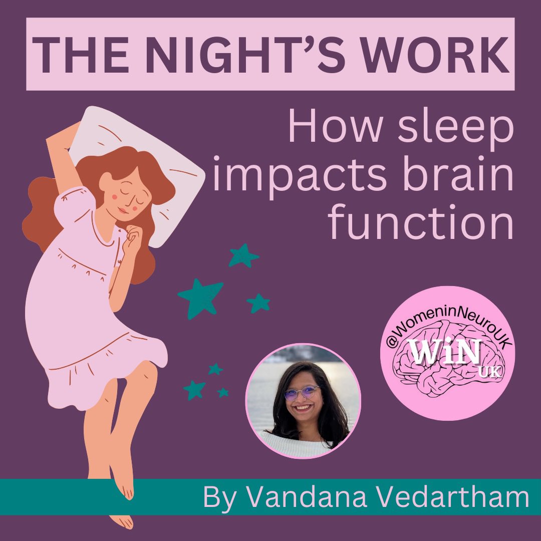 Think sleep is just downtime?💤 Think again!

Your brain works overtime while you rest - strengthening memories, clearing toxins &amp; resetting for the day ahead. Are you giving it the sleep it needs?