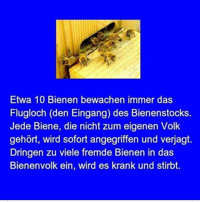 Verdammte Faschisten.