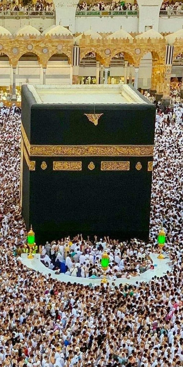 لَا إِلَهَ إِلَّا اللَّهُ رَبُّ الْعَرْشِ الْعَظِيمِ.