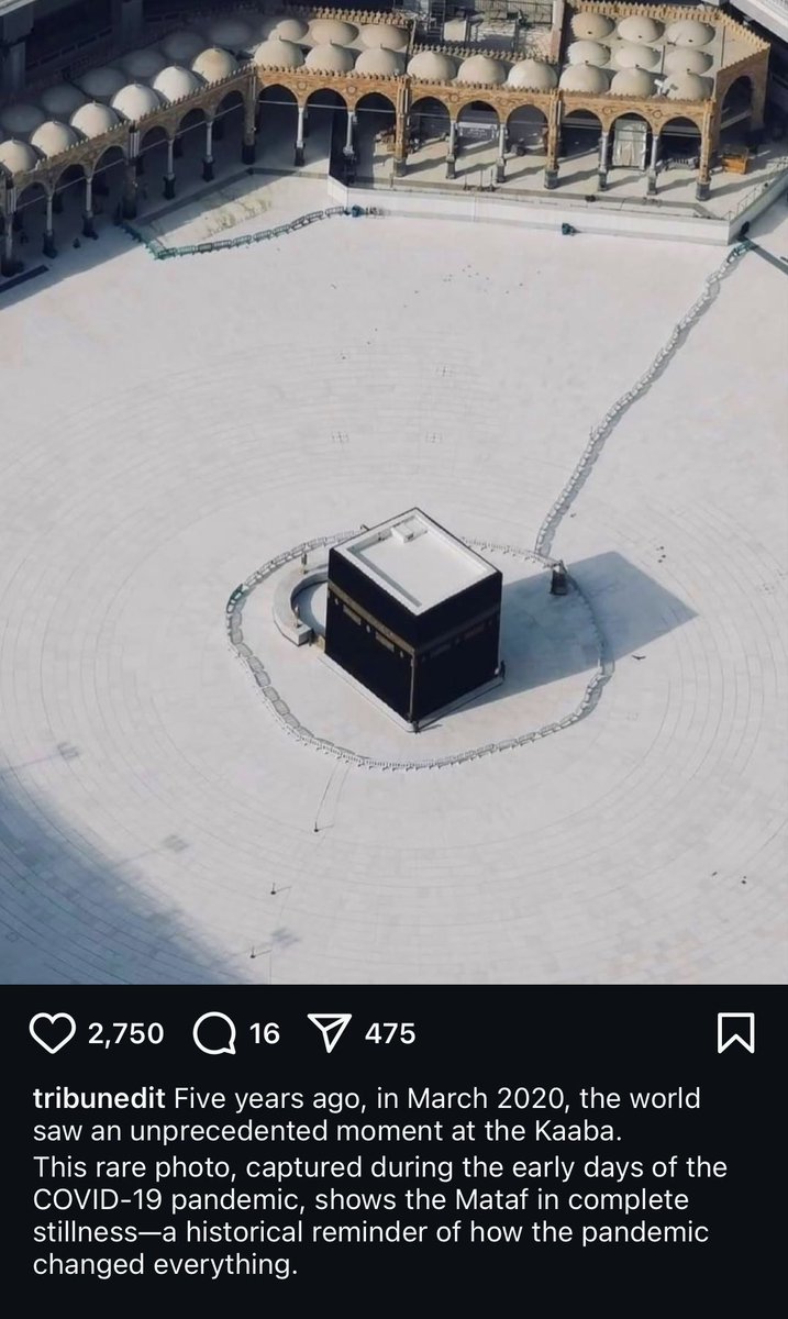 mastikhorbaddie's tweet image. goosebumps