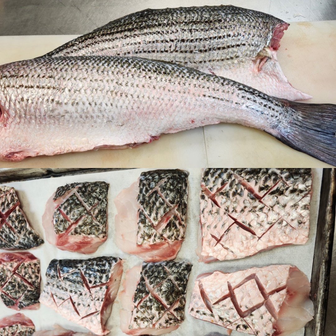 We love seeing how chefs take our products and turn them into something truly special—like this Wild Striped Bass that Old Oyster Factory in Hilton Head used for a dinner special. Topped with andouille cream sauce and served with marble potatoes &amp; lemon garlic broccolini.