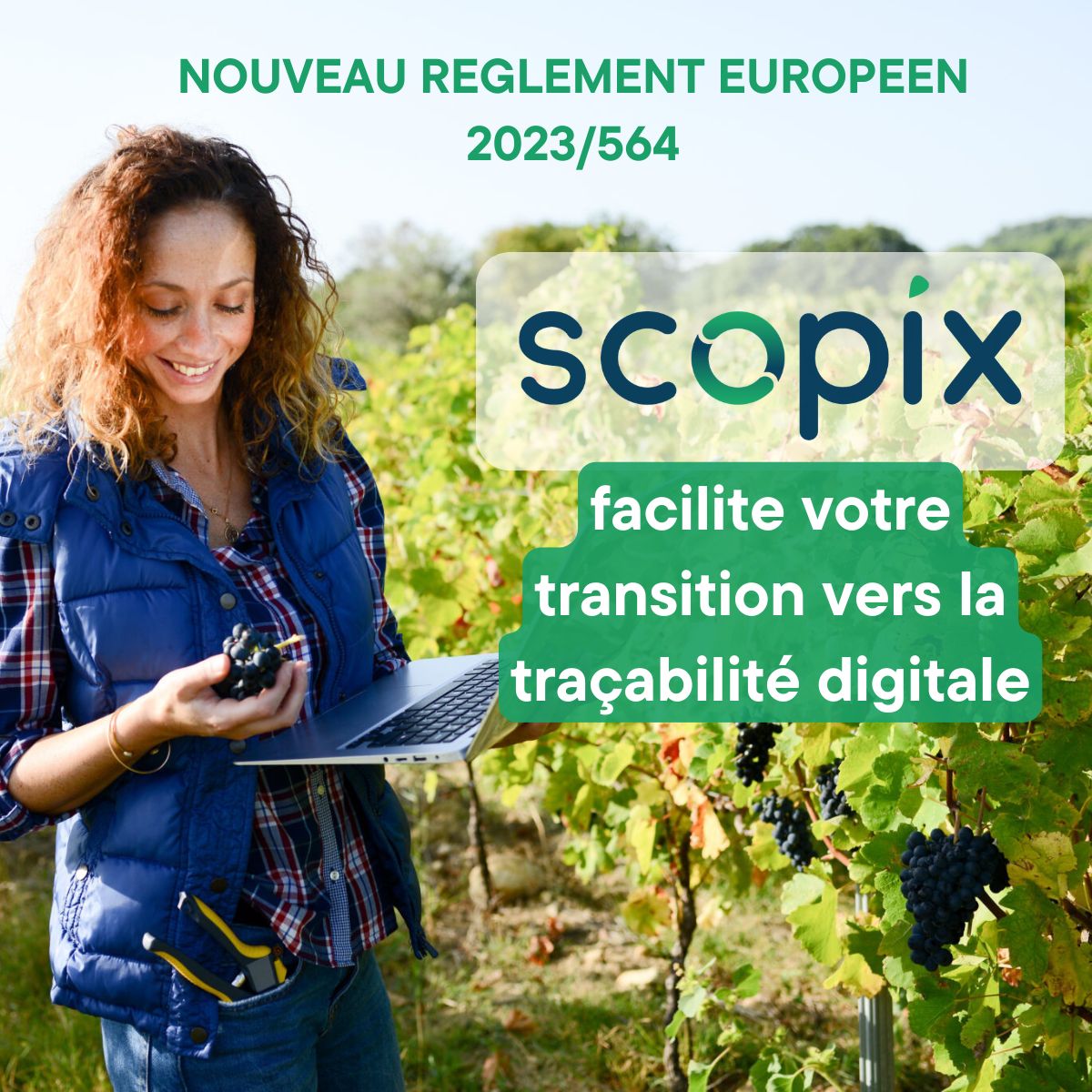 À partir du 1ᵉʳ janvier 2026, le nouveau règlement européen 2023/564 va s'appliquer aux utilisateurs de produits phytopharmaceutiques, dont les exploitants agricoles et viticoles.

Plus d'infos dans notre article 👉 scopix.fr/reglement-euro…

#Agriculture #Réglement #Traçabilité