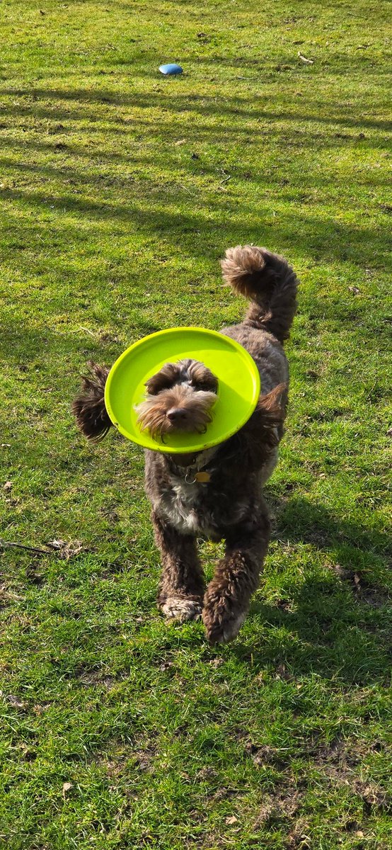 SteveGrange tweet media