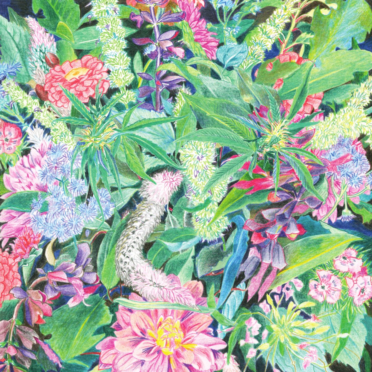 Light-Space Modulator is Shackleton and Marlene Ribeiro.

The Rising Wave is their debut collaboration, due for release on 25th April 2025.

Listen to 'These Things' &amp; Pre-Order LP

ad93.lnk.to/TheRisingWave