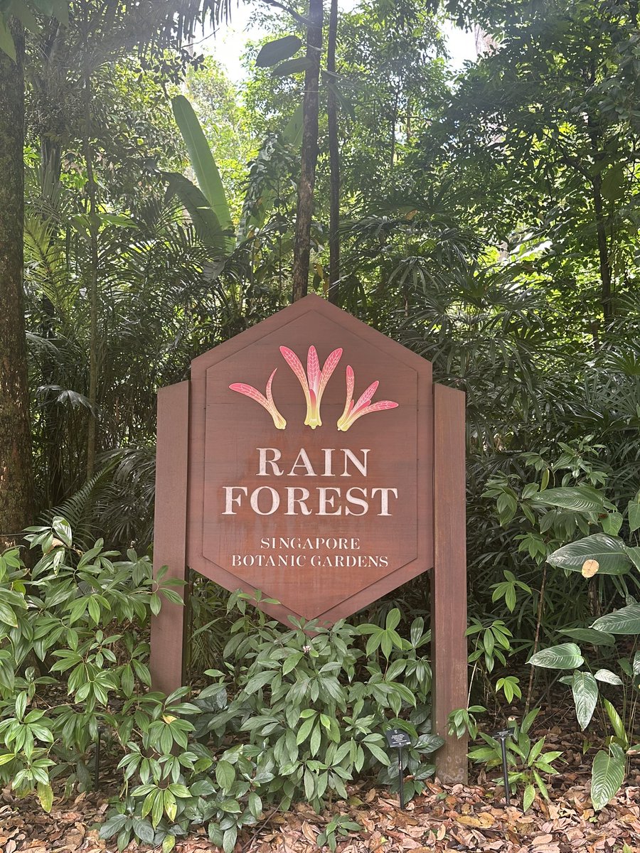 フェノロジー観測関連でここに来てます👇