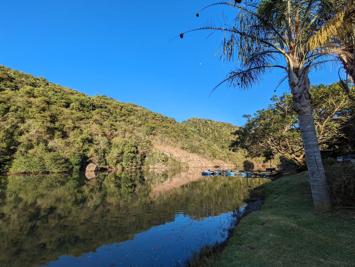 Areena_Resort's tweet photo. 🌿🏕️Camping Nostalgia at Areena Riverside Resort! 🌌🔥
Remember the magic of camping? The glow of a campfire, the smell of toasted marshmallows, and the peaceful sounds of nature? It’s time to relive those unforgettable moments at Areena Riverside Resort! https://t.co/bcskcS6phs