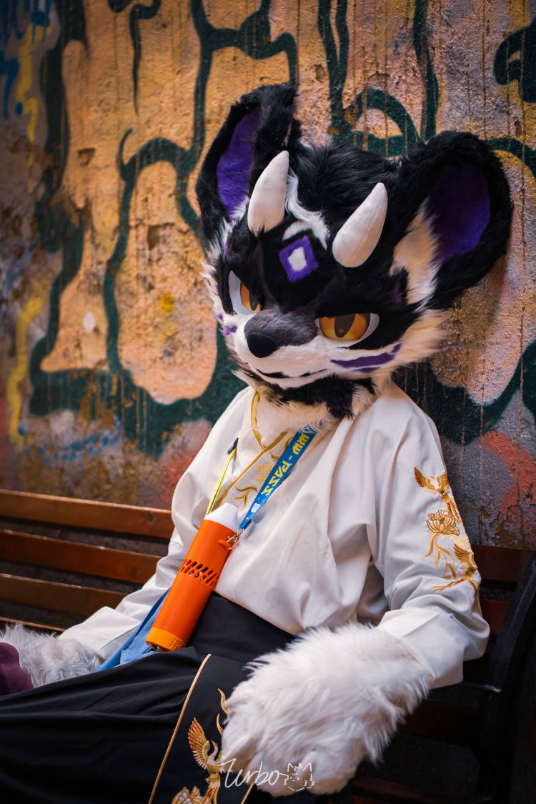 mystical but obvious

📷：<a href="/Max_Turbo_Wolf/">兔啵Turbo→绒萌</a>