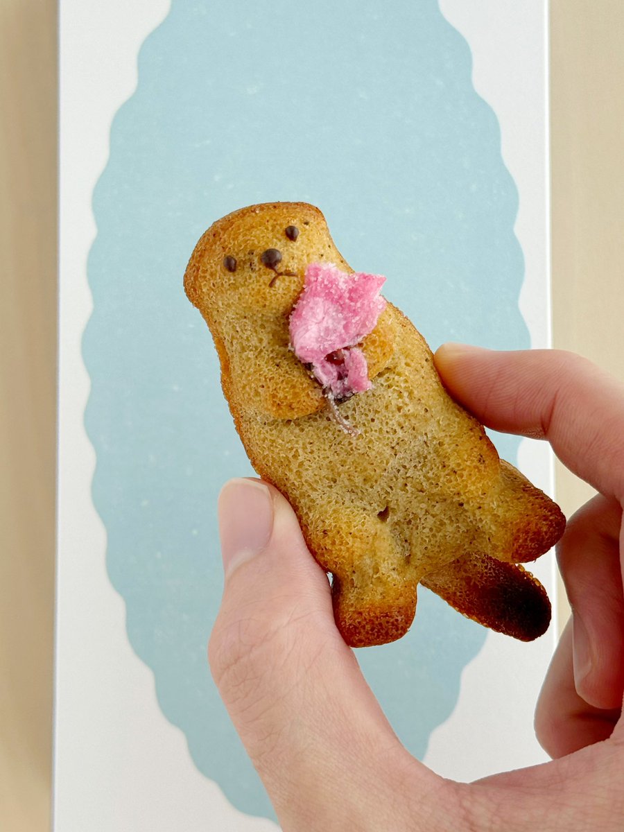 手紙舎おやつさんとの念願のコラボ！！ 「ラッコのフィナンシェ」 でき