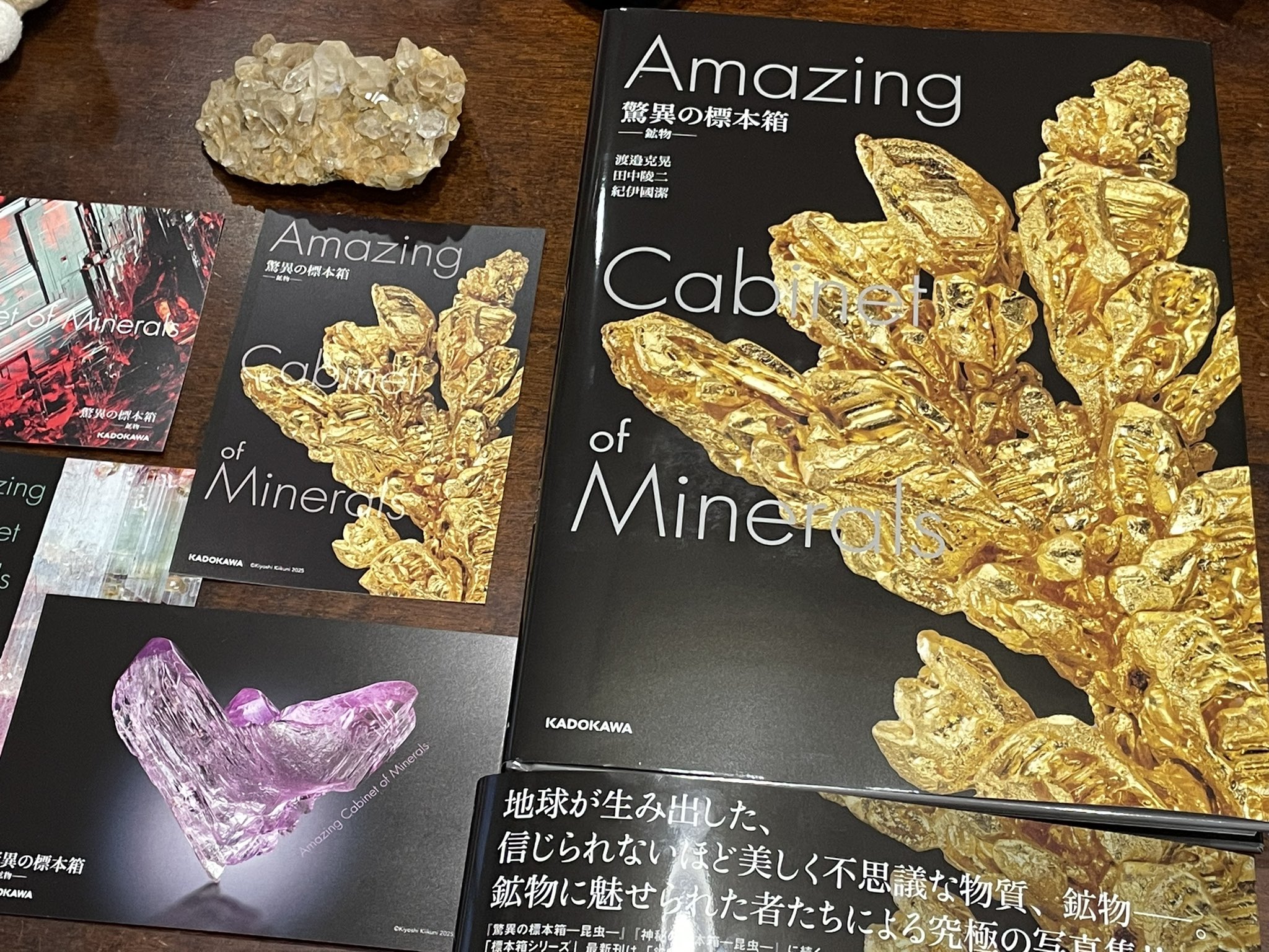 山猫だぶ㌠ on X: 