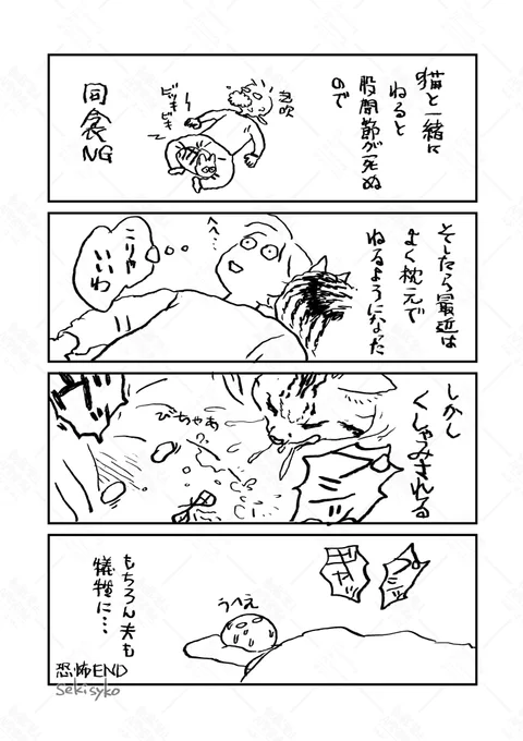 雑日記(左手)
うちの猫は割と盛大にくしゃみします(猫風邪持ち) 