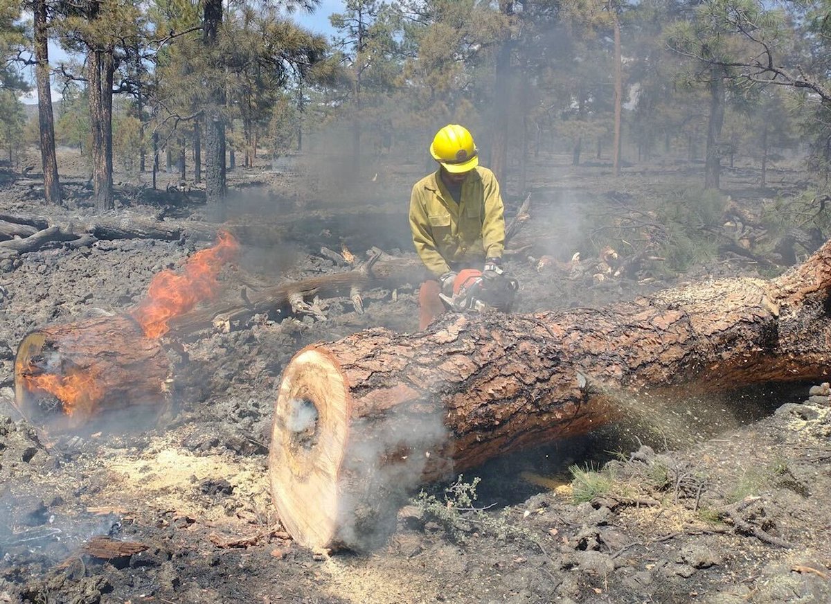 HOLDING THE LINE: FIGHTING WILDFIRES

What's it like being a wildland firefighter? 

In this month's edition, Nathan Bell shares stories of 16-hour workdays - with a 40 pound backpack and a chainsaw on his shoulders. 

And his starting salary? Less than a worker at Burger King...