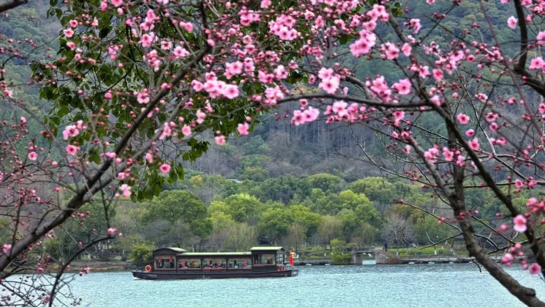 iXiaoshan's tweet photo. #Spring's color palette is ready – pink for cherry blossoms, yellow for rapeseed flowers, white for magnolias. 🎨✨#Xiaoshan's hidden floral havens are waiting to be discovered. 📍🌸🌿 #SpringInXiaoshan #ChinaTravel https://t.co/rFD9472Lfo