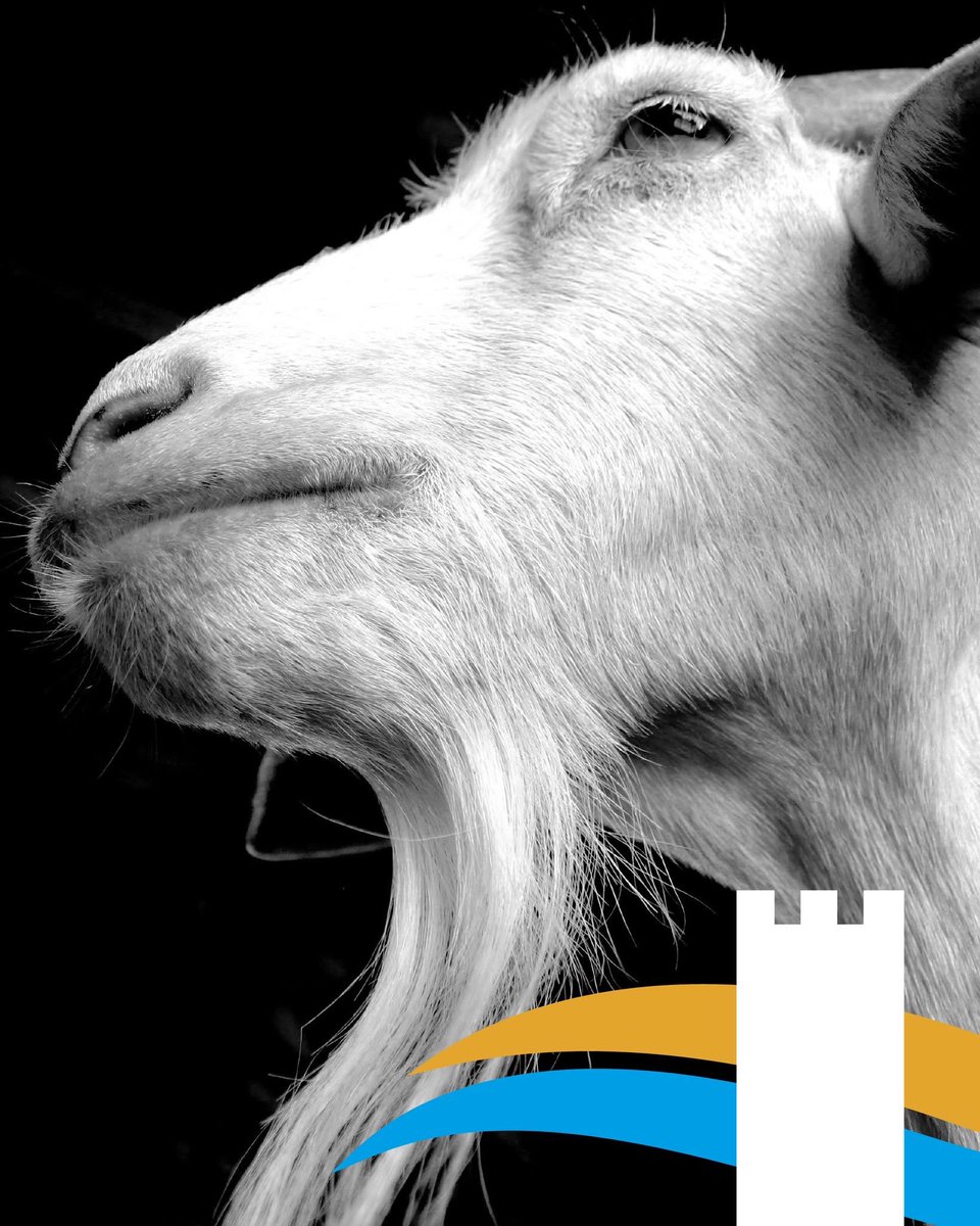 𝐃𝐎𝐌𝐄𝐍𝐈𝐂𝐀 𝟎𝟗 𝐌𝐀𝐑𝐙𝐎 – 𝐌𝐀𝐆𝐈𝐎𝐍𝐄, 𝐓𝐄𝐀𝐓𝐑𝐎 𝐌𝐄𝐍𝐆𝐎𝐍𝐈 🎭  

✨ "SATIRI’" di Virgilio Sieni Ore 17:00 
Uno spettacolo di danza imperdibile.
 
Consulta il calendario completo sul nostro sito: trasimenoapp.com/calendario-eve…