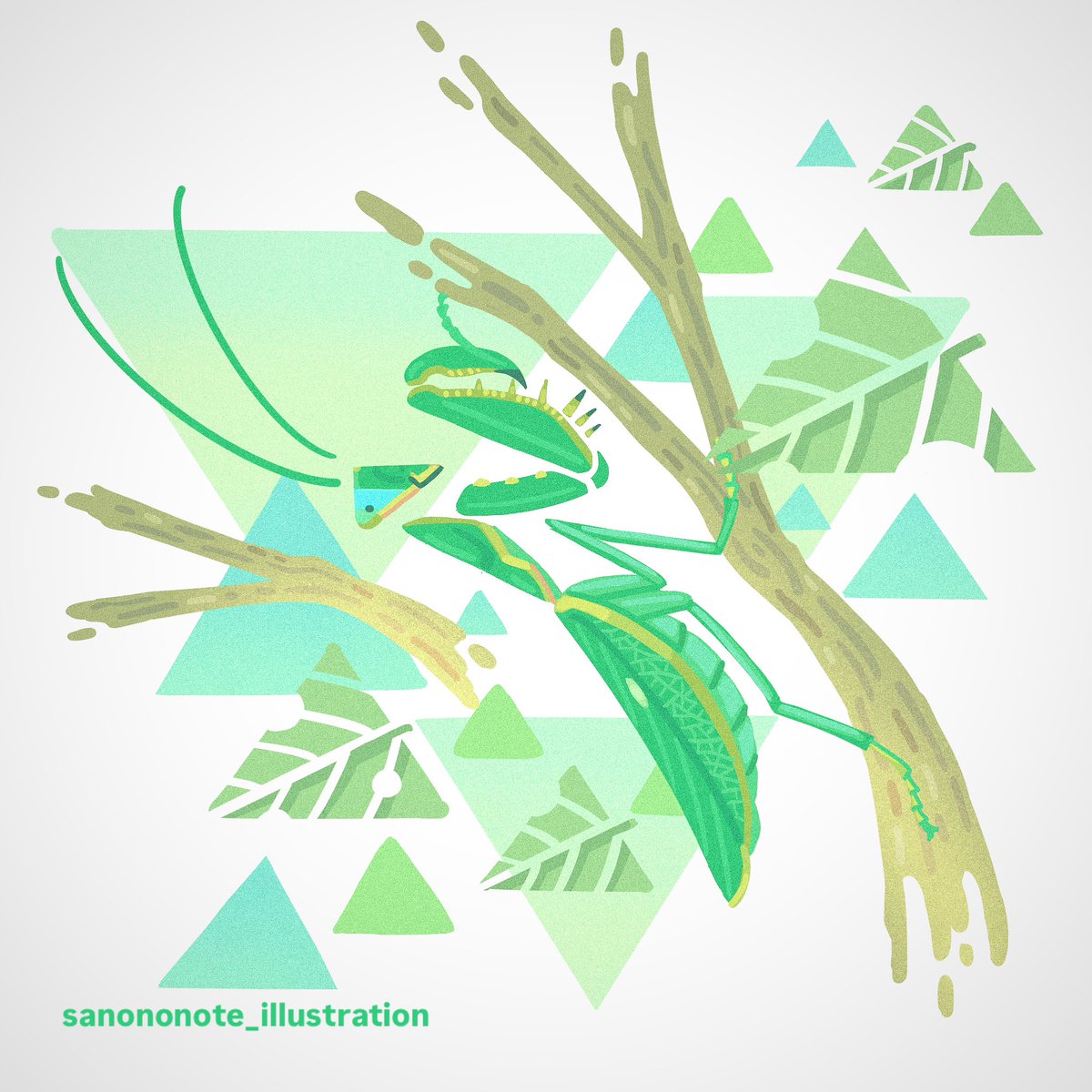 ハラビロカマキリのいる風景
#illustration #procreate #mantis #original #insects