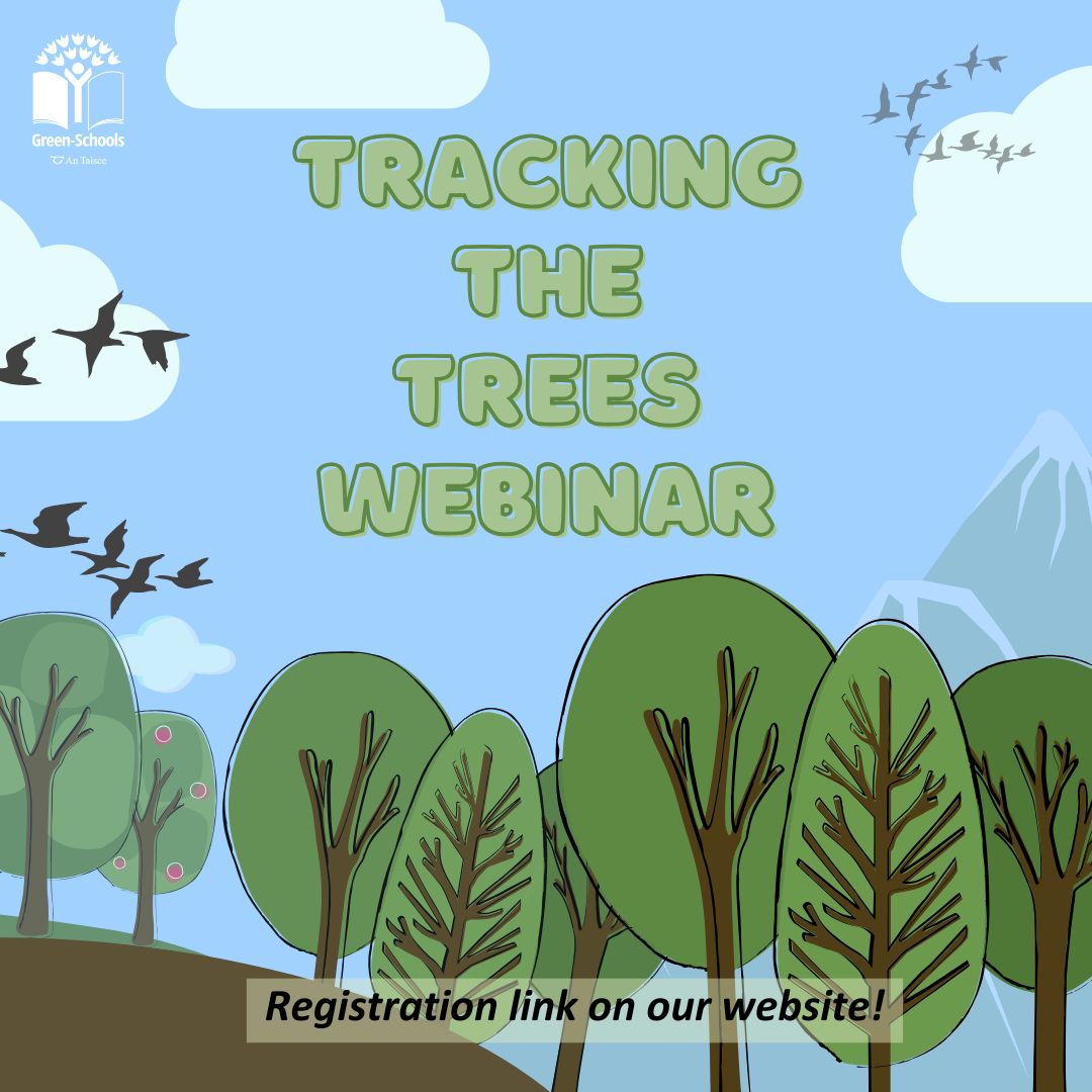 Green-Schools (@greenschoolsire) on Twitter photo Join us tomorrow at 11am as we celebrate #TreeWeek with an interactive webinar to launch a Tree Height Challenge. 🌳
Hear from <a href="/GLOBEIreland/">GLOBE Ireland</a> about how to use the GLOBE Observer app to measure tree height and from <a href="/LEAFIreland/">LEAF Ireland</a> for a slightly less accurate (but extremely fun!) Join us tomorrow at 11am as we celebrate #TreeWeek with an interactive webinar to launch a Tree Height Challenge. 🌳
Hear from <a href="/GLOBEIreland/">GLOBE Ireland</a> about how to use the GLOBE Observer app to measure tree height and from <a href="/LEAFIreland/">LEAF Ireland</a> for a slightly less accurate (but extremely fun!)