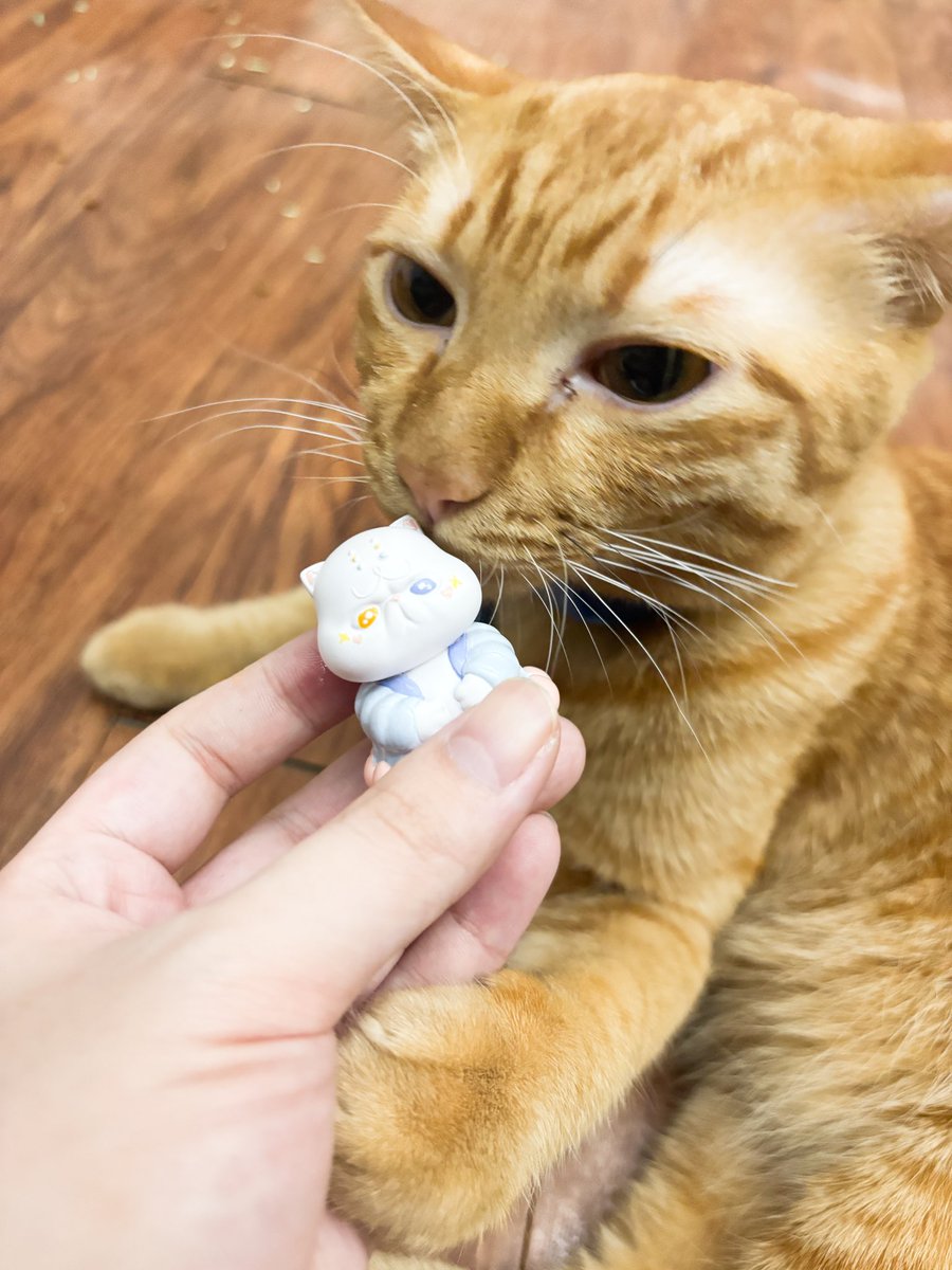 ° turtursketchy | #CraftAndPlay2026 🐈 tweet media