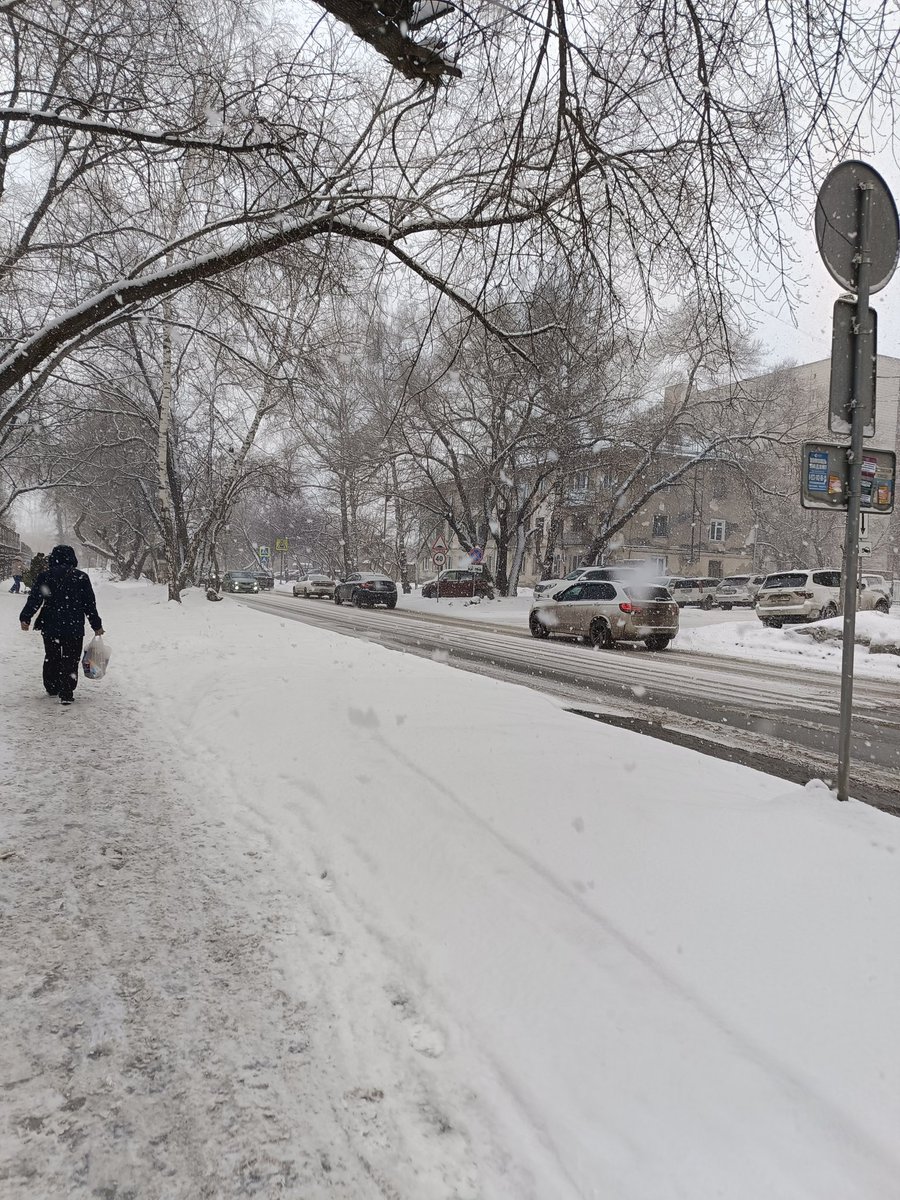 дашик хелнс tweet media