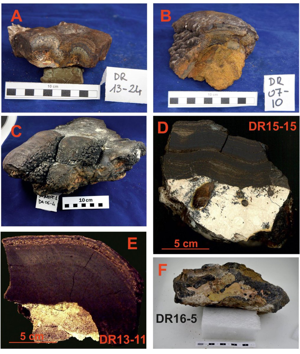 GEOMAR_research group tweet media