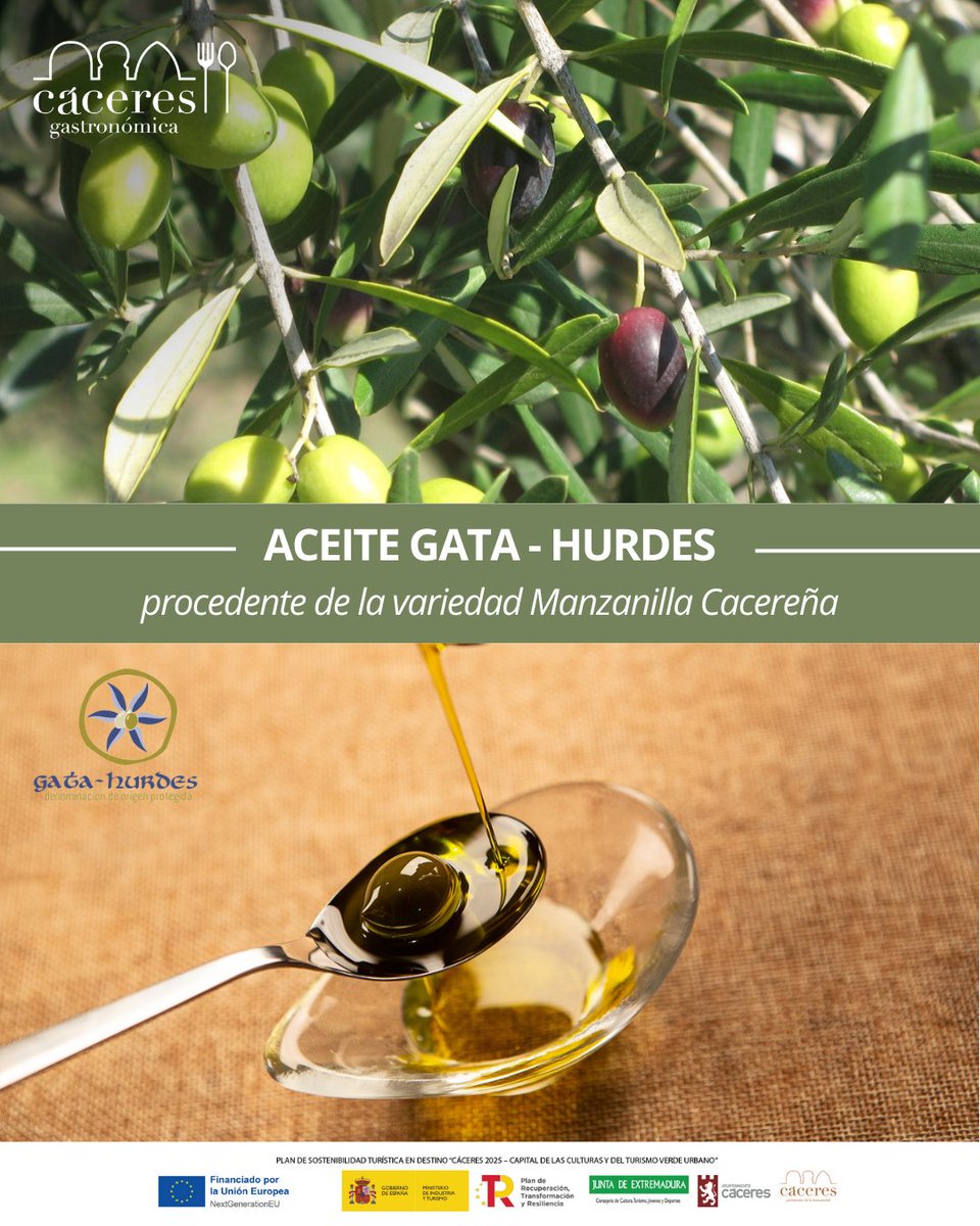 🫒Descubre el oro líquido de Cáceres 👉el aceite de oliva virgen extra con Denominación de Origen Protegida Gata-Hurdes. Un sabor único que nace de la variedad autóctona Manzanilla Cacereña, cultivada y elaborada en nuestra tierra💚

👉Ven a disfrutarlo en tu visita a la ciudad