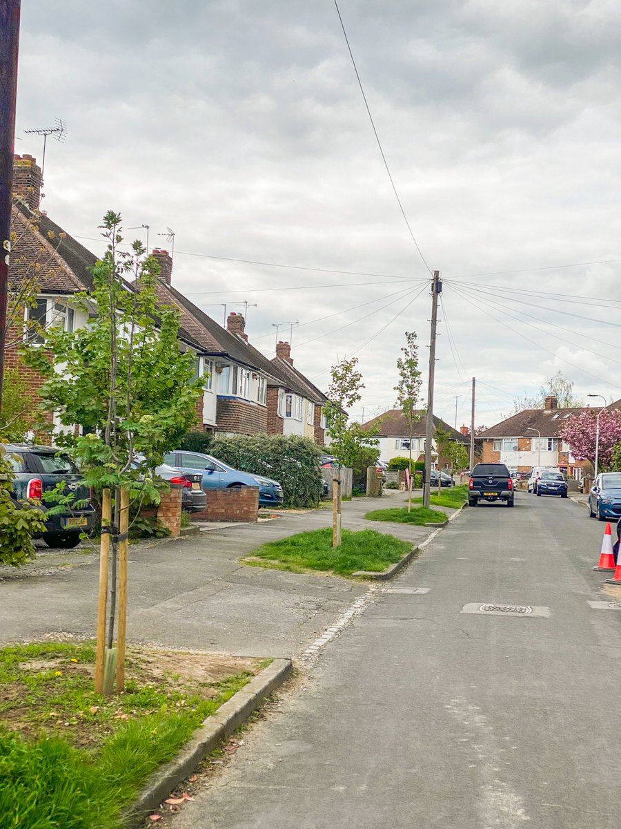 If we start the street tree planting revolution now, imagine how every street could look in 10, 50, or 100 years 🌳🌲🌳

Now that's a world we'd love to live in 🌍