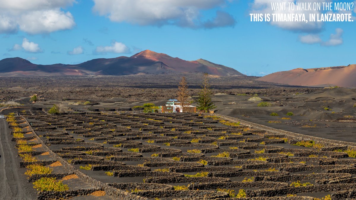 Ever thought of stepping on the moon? 🌋🌑 Well, in Lanzarote the volcanic landscape of Timanfaya, with its colours and ashes, will transport you to another planet (or satellite).

👉travelspain.info/Timanfaya

#VisitSpain #YouDeserveSpain #SpainSustainable #LasPalmas @turismcanaria