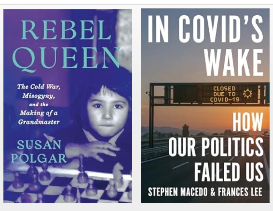 iamaniku's tweet image. #twobooks #chesspunks