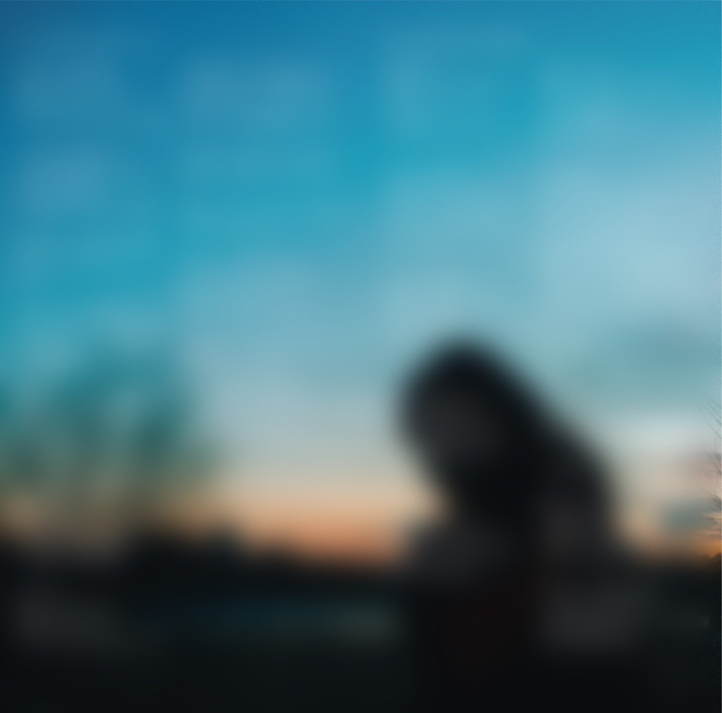 邦楽 Gum-9 / Bloom Ur Days Gum-9「May」Live Video 【Bloom Ur Days Tour 2025 FINAL